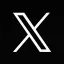 X Icon